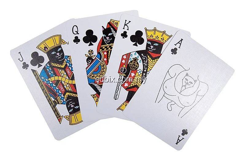 FONTAINE RIPNDIP V1 Playing Cards Bicycle Ellusionist